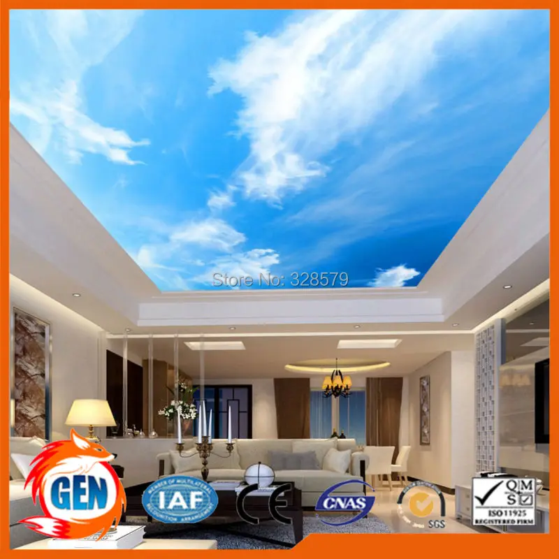 DECORATIVE PVC STRETCH CEILING FILM  (10)