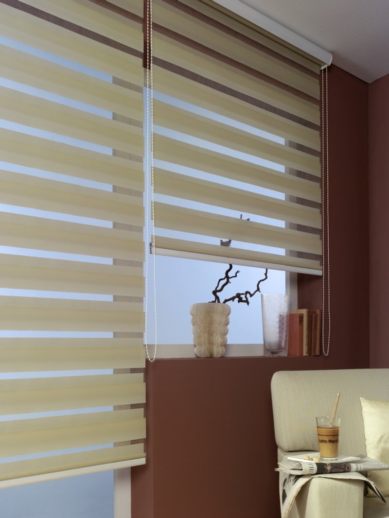 Рулонные шторы «Зебра» — 75 фото идей дизайна