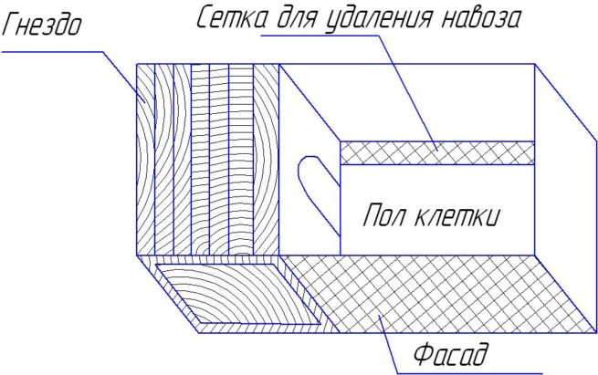 Чертеж клетки по Золотухину