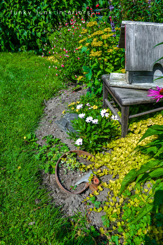 before / How to edge flowerbeds like a pro! via FunkyJunkInteriors.net