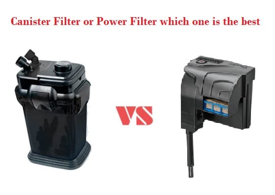 Canister Filter vs Power Filter: Which One is the Best?