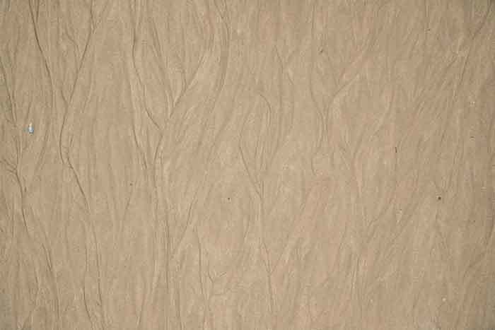 Additional plywood layer Additional plywood layer