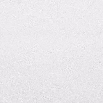 Picture of Brier Paintable Plaster Texture Wallpaper 