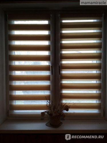 Рулонные шторы День-ночь вид со стороны комнаты в пасмурную погоду днём