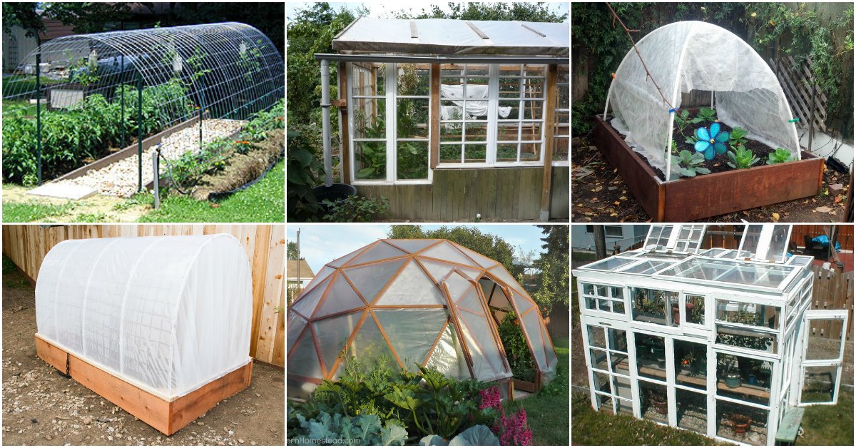 20 Free DIY Greenhouse Plans You’ll Want To Make Right Away