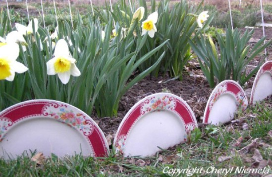 Broken Plate Garden Fence