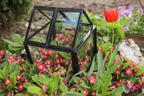 DIY greenhouse made from picture frames