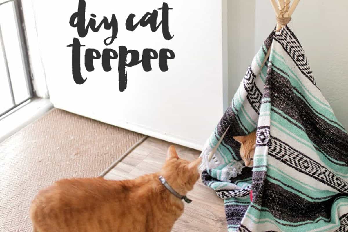 Diy cat teepee