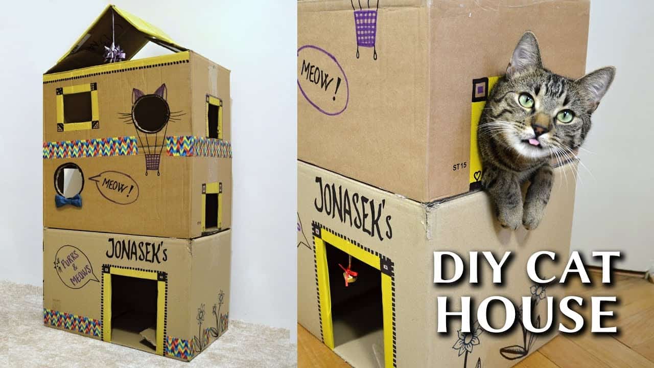 Epic cardboard cat house