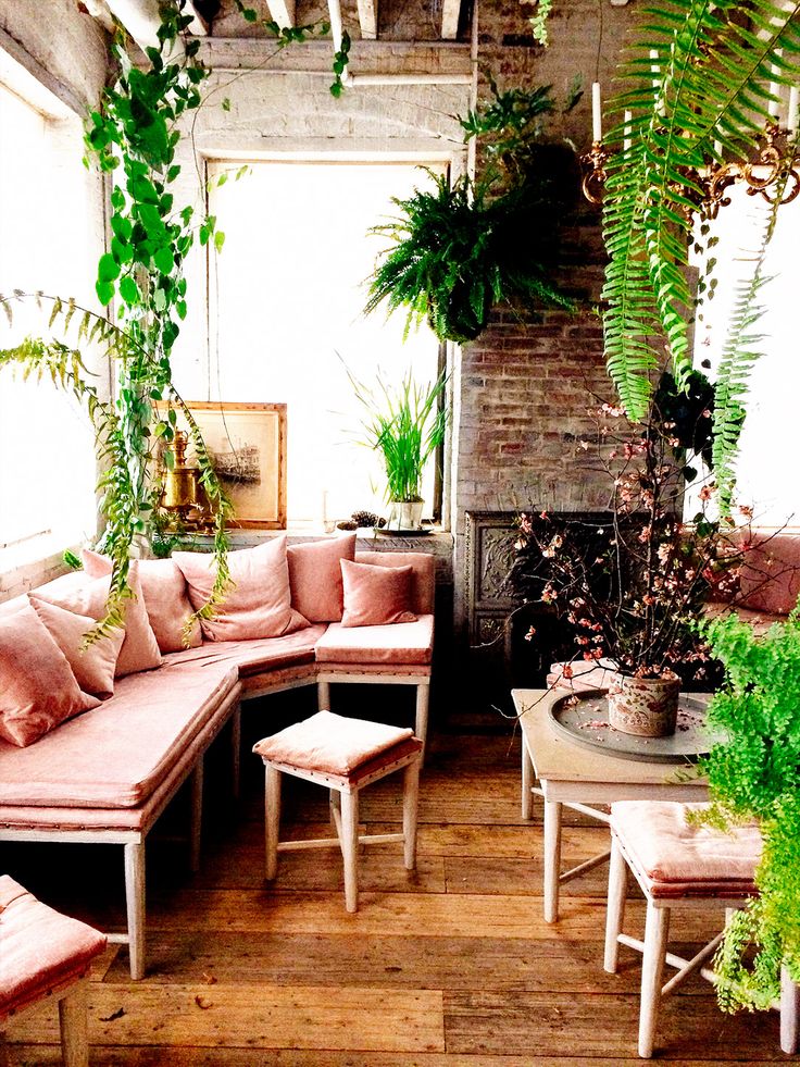 pink-sofa-outshone-by-greenery