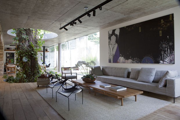 Brazilian house with a tree in the living room