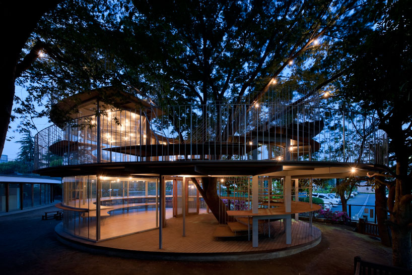 Ring around tree project