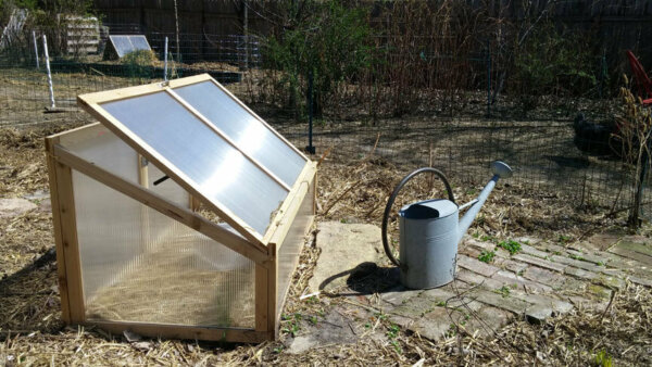 small pine greenhouse