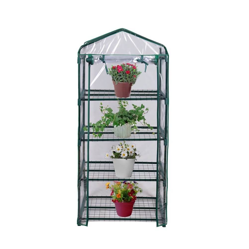 Small Greenhouse with Shelves