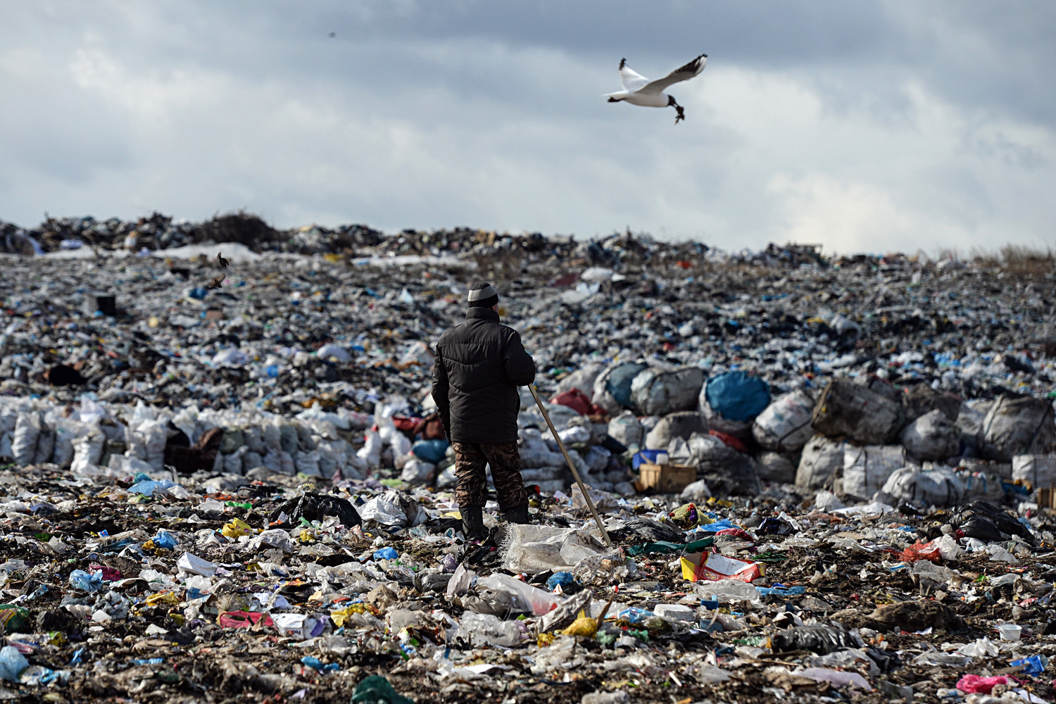 Gusinobrodsky solid domestic waste landfill, the Novosibirsk Region.
