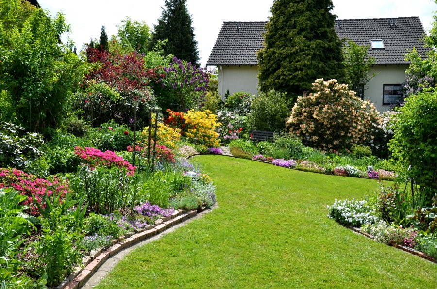 Партерный газон в ландшафте садового участка