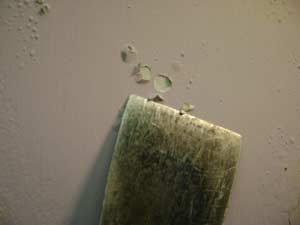 photo scraping paint bubbling off a wall