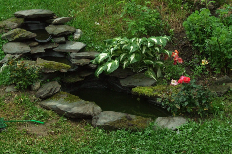 пруд на даче