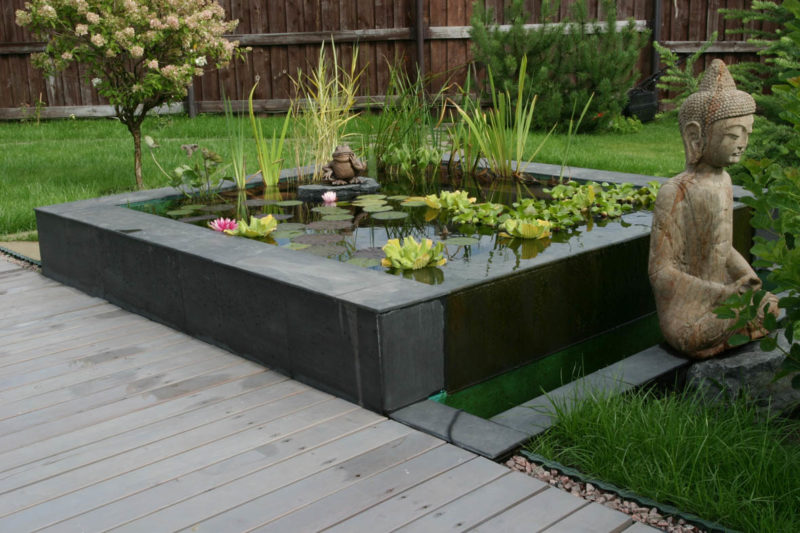 пруд на даче