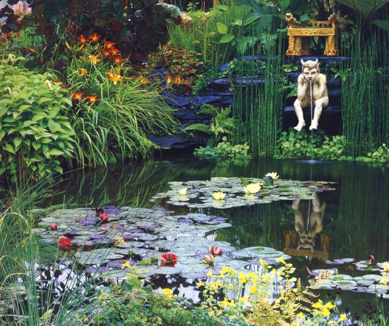 пруд на даче