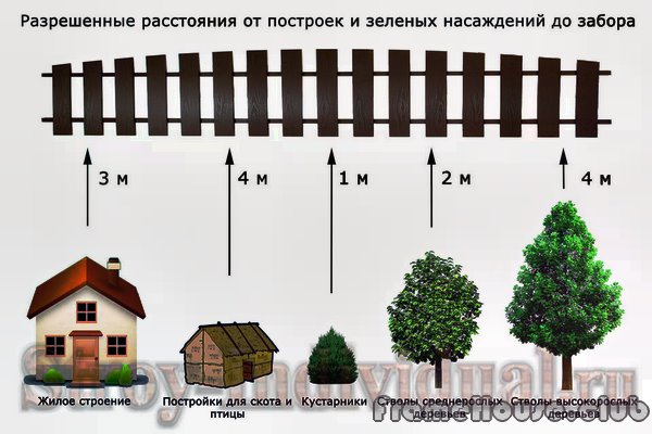 расстояние от забора до зеленых насаждений 