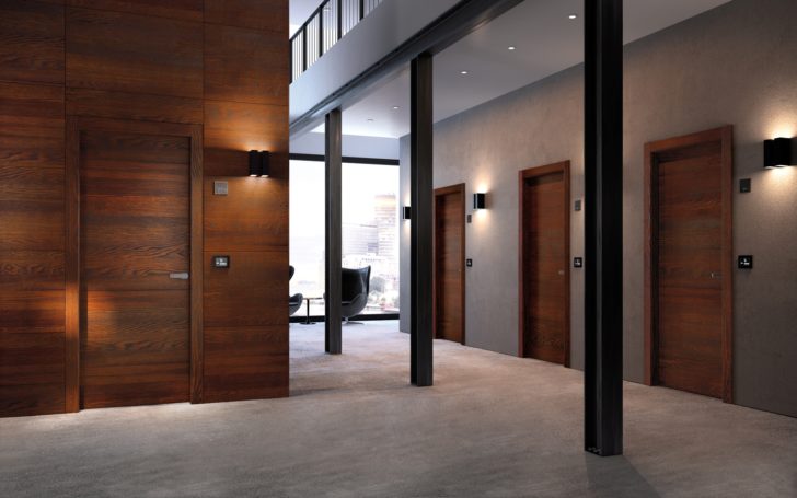 Veneer doors, what is it? Veneer doors photo