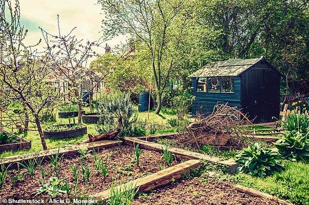 Even a tiny garden can contain many hundreds of species of wild insects and plants. By treating your garden as a nature reserve, you can help to reverse a potential catastrophe [File photo]