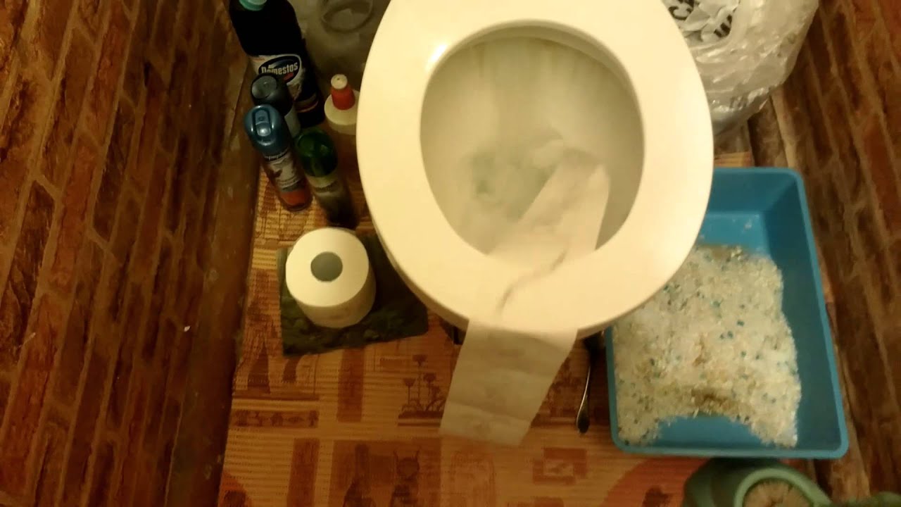 Туалетная бумага в унитаз можно. Бумагу в унитаз. Туалетная бумага в канализации. Туалетная бумага в туалете. Унитаз засорился бумагой.