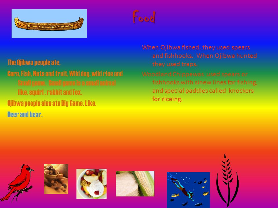 The Ojibwa people ate, Corn, Fish, Nuts and fruit, Wild dog, wild rice and Small game.
