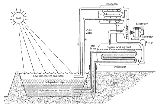 solar power plant pond