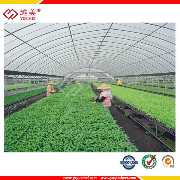 Yuemei reliable polycarbonate sheet for greenhouse