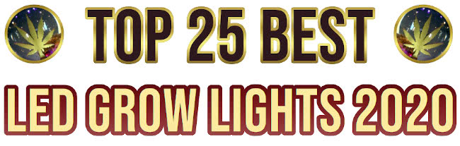 Best LED Grow Lights 2020 List High Times
