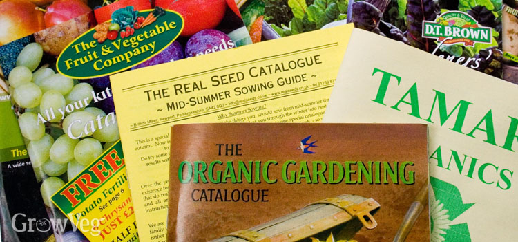 Seed catalogs