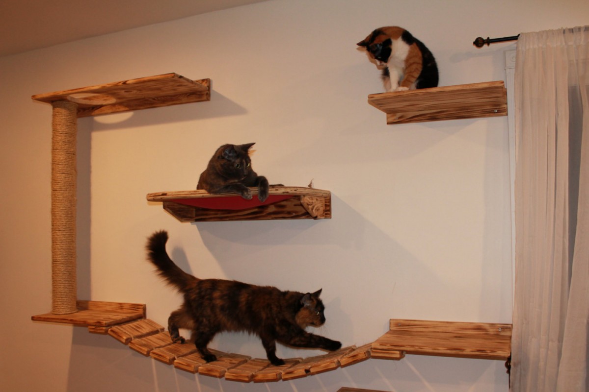 Настенные полки для кошек своими руками из дерева