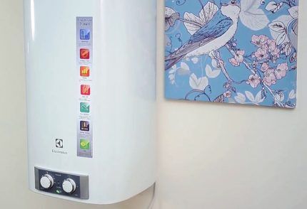 Универсальная модель Electrolux