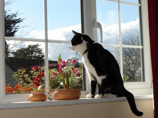 Смазка пластиковых окон своими руками