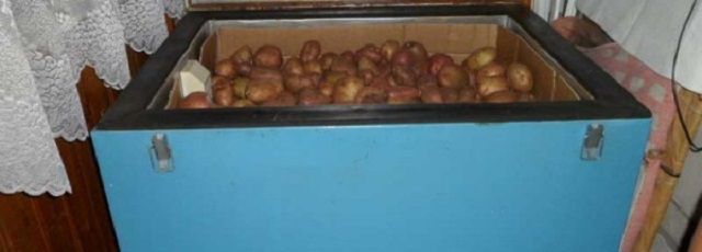Один из вариантов - термоларь для хранения овощей
