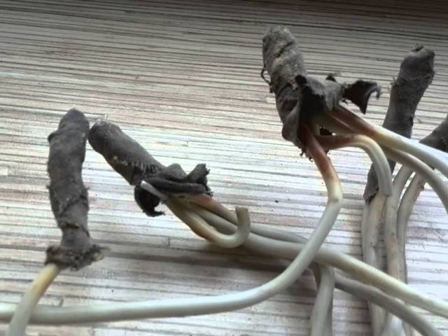 Низкое качество соединений проводов в распределительной коробке очень часто приводит к искрению, обгоранию изоляции и коротким замыканиям.