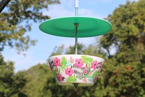 Easy DIY Blowl plate bird feeder 