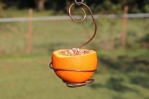 Easy orange bird feeder