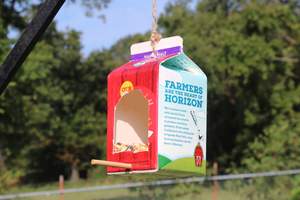 Milk carton recycled bird feeder