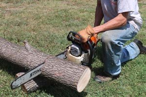 Use a chainsaw to cut a log to create your bird feed.