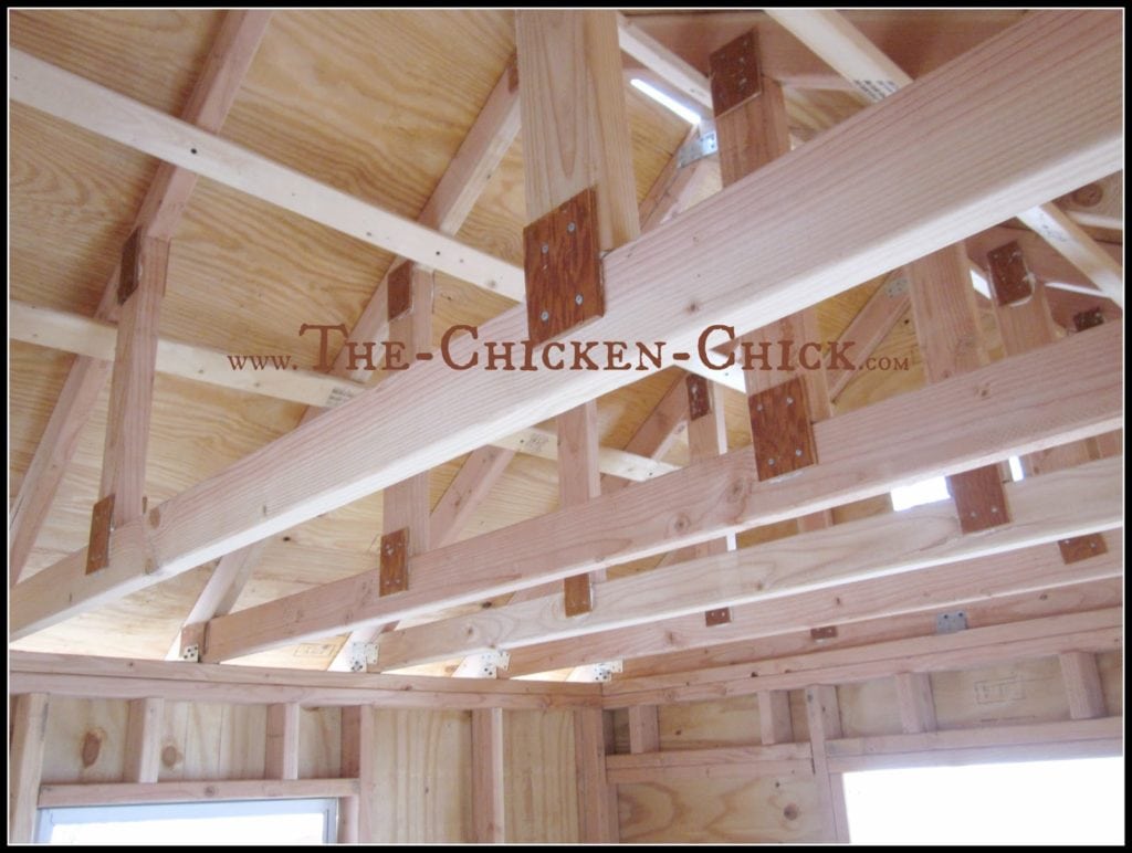 Placing windows on all four sides of the coop with open gables towards or air vents towards the top of the coop are best for maximizing air exchange, especially in cold weather.