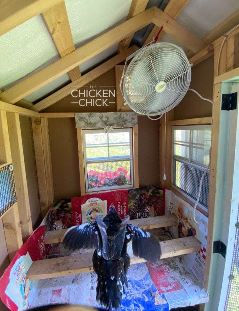 Placing windows on all four sides of the coop with open gables towards or air vents towards the top of the coop are best for maximizing air exchange, especially in cold weather.