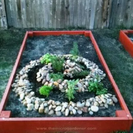 Herb spiral within a raised bed. 