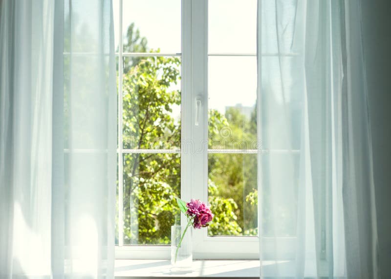 Window with curtains and flowers royalty free stock photos