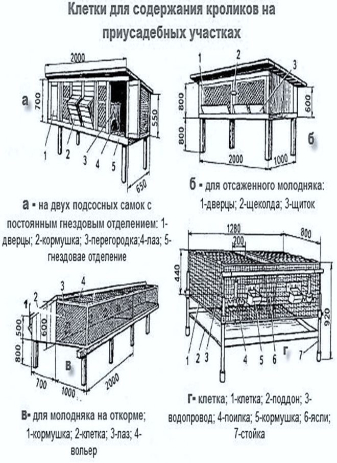 Чертеж клетки для кролика