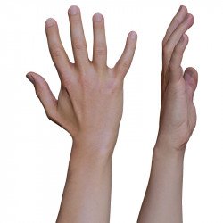Male Hands Scan Models