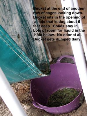 Manure and liquids drain into the bucket, which gets emptied daily.