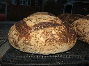 Baking sourdough breads in quantity.